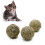 1 St Vävd Rattan Boll Av Vattengräs För Hamster 1