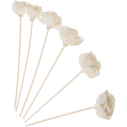 6Pcs Eldfria Aromaterapi Doftdiffusorer Hushållsdoftblommor