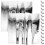15 Ark Presentpapper Bukett Inslagsmaterial 9