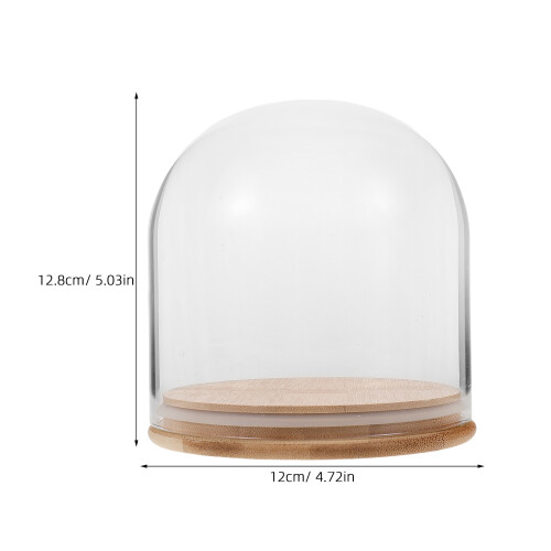 Transparent Displaydom Med Bambubas För Figuriner Blommor 1