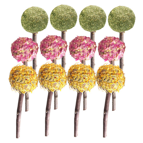 12Pcs Tuggleksaker, Guldiguvens , Lollipop, Molar Tugg