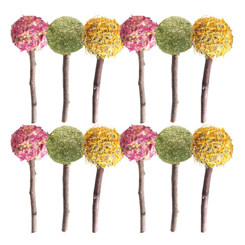 12Pcs Tuggleksaker, Guldiguvens , Lollipop, Molar Tugg 1