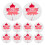 Canada Day Maple Leaf Broschpennar Klassisk Design 11