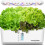 Hsxa1 Intelligent Planter 10 LED 2
