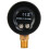 Mechanical  Pressure Gauge 1/8 HOT 3
