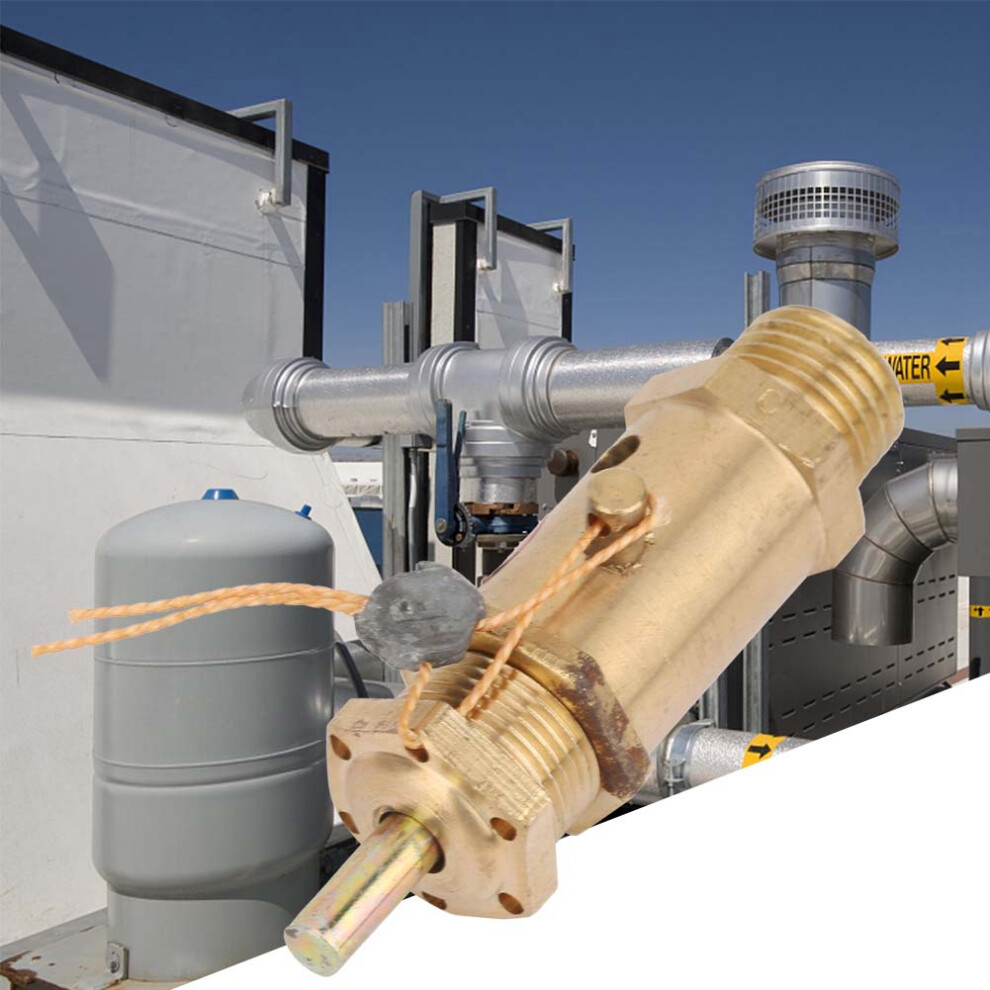 G1/4 Valve Safety Release For Steam Generators And Boilers 5Kg 4931363419030
