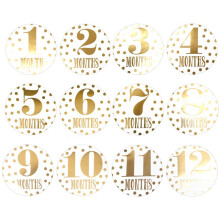 48 Baby Månads Milestone Stickers Fotoprops