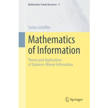 Mathematics of Information by Stefan Schaffler Paperback Book