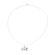 Kreativ Parfymhalsband Hundhår Ask Anhängare Benask