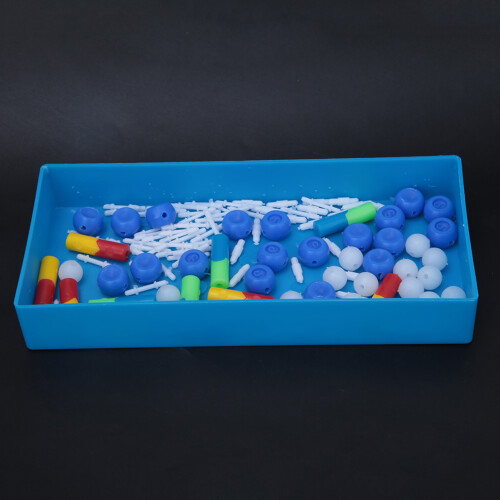DNA Molecular Model for Science Education Double Helix Teaching Aid Plastic 2