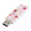 PushPull USB 2.0 U Disk 32GB Erdbeer-Kaninchen 16