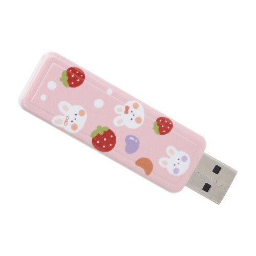 PushPull USB 2.0 U Disk 32GB Erdbeer-Kaninchen 2