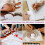 7 Teile Acrylmalerei Wellendesign Für DIY 10