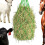 2pcs Horse Hays Net Mesh Pattern Regulates Eating Speed-Green 6