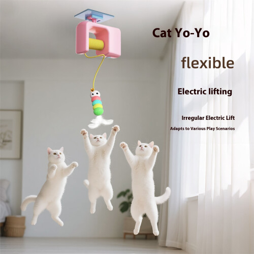 Balançoire de jouet de chats accrochants interactifs-Bleu 2