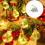Versatile Indoor Outdoor Decorative Lighting System Soft-S 1 2