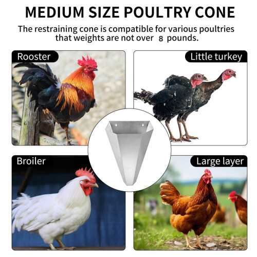 Cône de manipulation de volaille en métal avec dos plat Stable 1