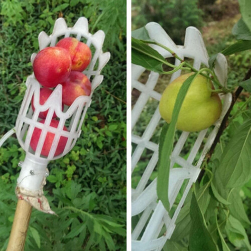 Plastic Fruit Picker Harvesting Basket, PP, 20x10.5x8cm