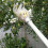 Plastic Fruit Picker Harvesting Basket, PP, 20x10.5x8cm 4