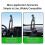Adjustable Car Mobile Phone Mount Base 17mm Ball Head Adapter 4