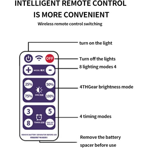 Solar Battery Box For LED String Lights, Outdoor String Lights, 24V, Remote Control, Lithium Panel Light, Control Panel 1