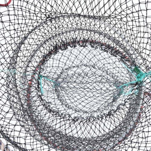 Durable Steel Frame Bait Cage with Extendable Inlets for Effective Trapping 2