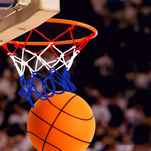 Basketball Rim Replacement Indoor Hoop With Net Wall Or Door Mounted For Home Practice 1