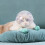 Comfortable Cats Muzzle Protective Space Helmet Prevents-L 6
