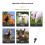 Ergonomic Probe Livestock Reproduction Tool LCD Display For 3