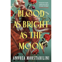 A Blood as Bright as the Moon by Andrea Morstabilini Paperback Book