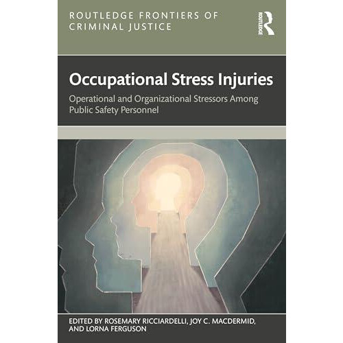 Occupational Stress Injuries Paperback Book