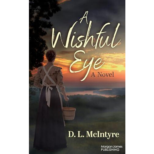 A Wishful Eye by D. L McIntyre Paperback Book