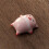 Spit Bubble Under Bottom Funny Teacups Hiddens Animal Inside-A 6