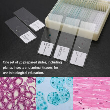 Biological Glass Microscope Slides 25PCS Set for Animal Plant Insect Tissues