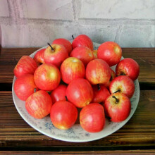 Lot de 10 mini pommes artificielles en mousse rouge et verte, imitation fruits, décorations pour loisirs