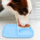 Conteneur de nourriture pour animaux de compagnie,-Bleu 5