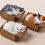 Chats drôles en boîte, Mini statue en résine compacte,- 4 6
