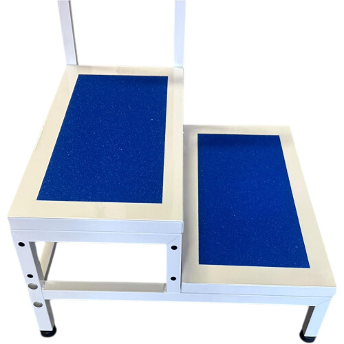 Bathroom Mobility Double Step Stool with Handrail Support 2