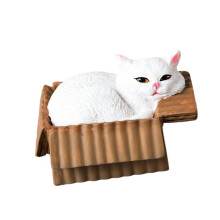 Schattige Mini Katten Beeldje In Kartonnen Doos Harsen- 4