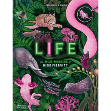 Life by Jennifer N. R. Smith Hardcover Book