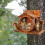 Squirrel Feeder Squirrel Feeding Station Feeding Box Decorative Garden Decor 3