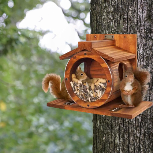 Squirrel Feeder Squirrel Feeding Station Feeding Box Decorative Garden Decor 2
