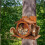 Squirrel Feeder Squirrel Feeding Station Feeding Box Decorative Garden Decor 4