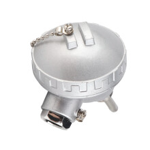 PT100 RTD-Sensor Fühler, 1/2'' NPT-Gewinde, 50 mm Kopf