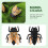 20Stücke Cicada Spielzeug Garten 8