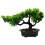 Künstlicher Bonsai Baum Realistische Topf- 8
