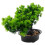 Künstlicher Bonsai Baum Realistische Topf- 9