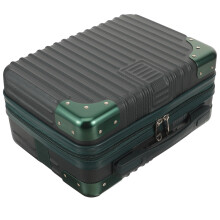 Cosmetic Case ABS Material Miss Pulley