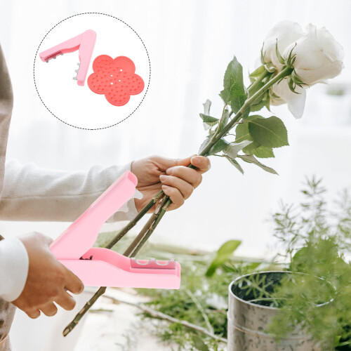 2 . de de rosa para jardinería 2