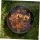 Πατάκι μπάρμπεκιου ανθεκτικό στη θερμότητα για κάμπινγκ και μπάρμπεκιου δι 4